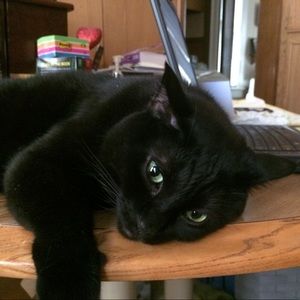 Meet your Posher, Janis